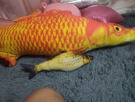 活宝黑妮主播照片