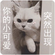 苏苏，越来越好的图片