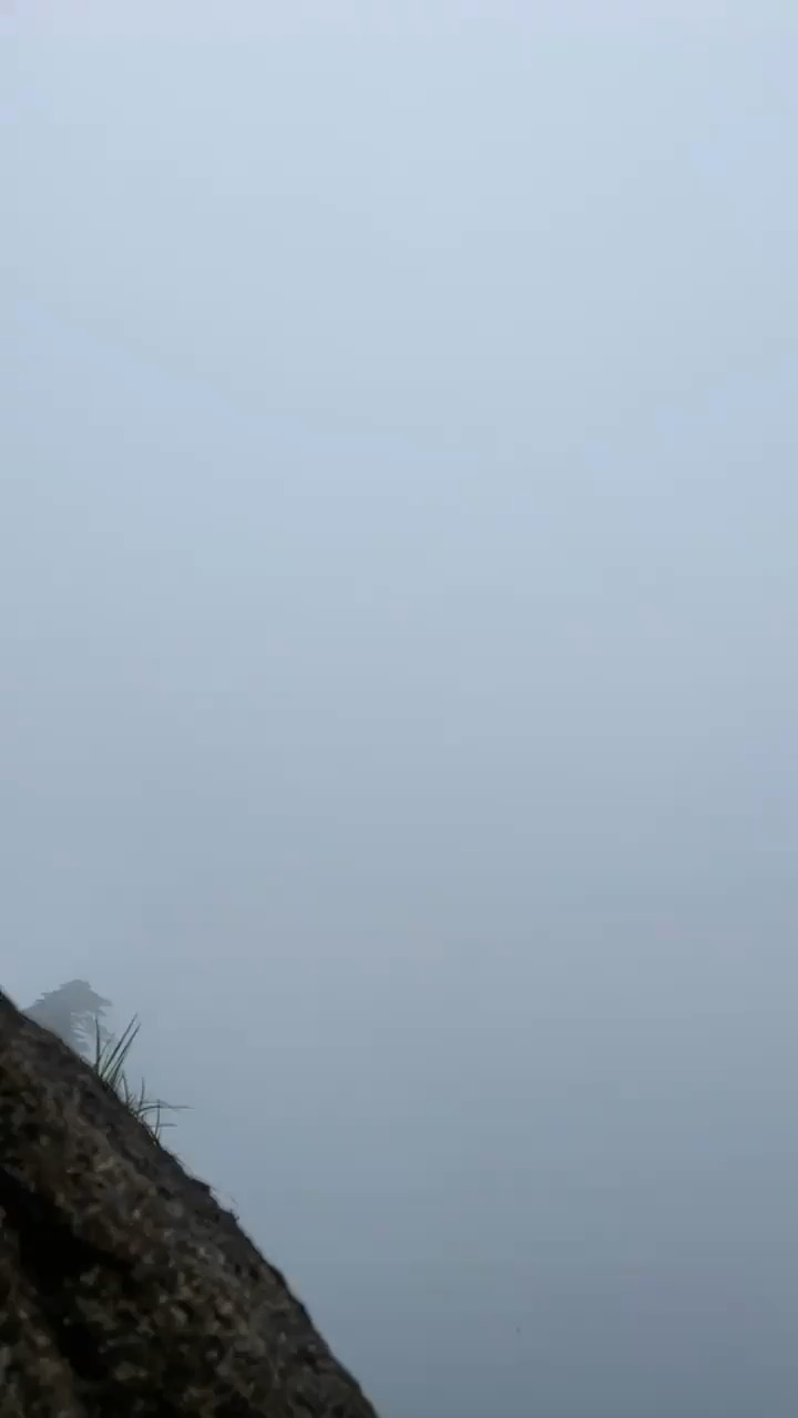 三清山上好多仙气啊