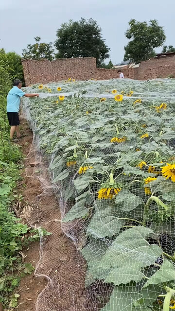 最近心情很不好，特别