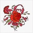 可爱kla