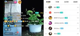 云南壹姐主播照片