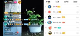 云南壹姐主播照片