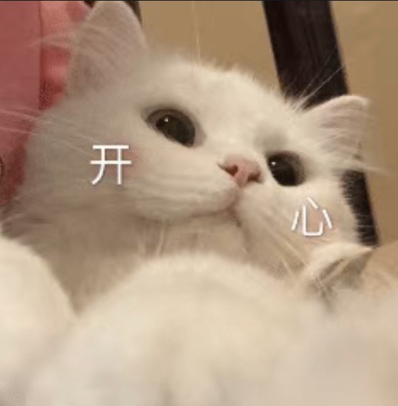 䒕麻花请求支援！的图片