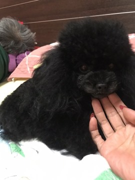 💘妞妞💘小姐姐主播照片