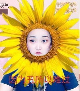 花无缺的故事结束啦主播照片
