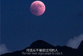 ❥放鹤er.主播照片