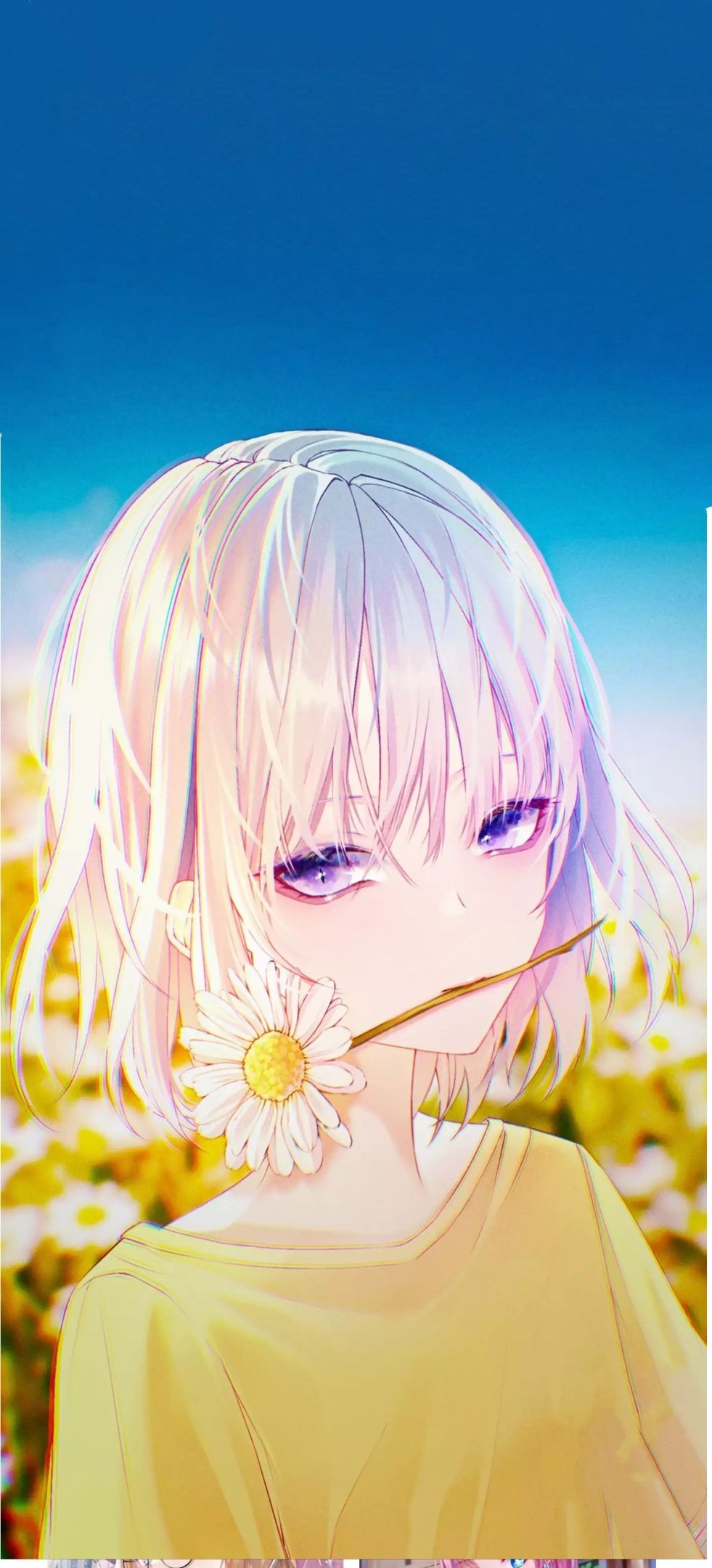💦念初💫18点播的图片