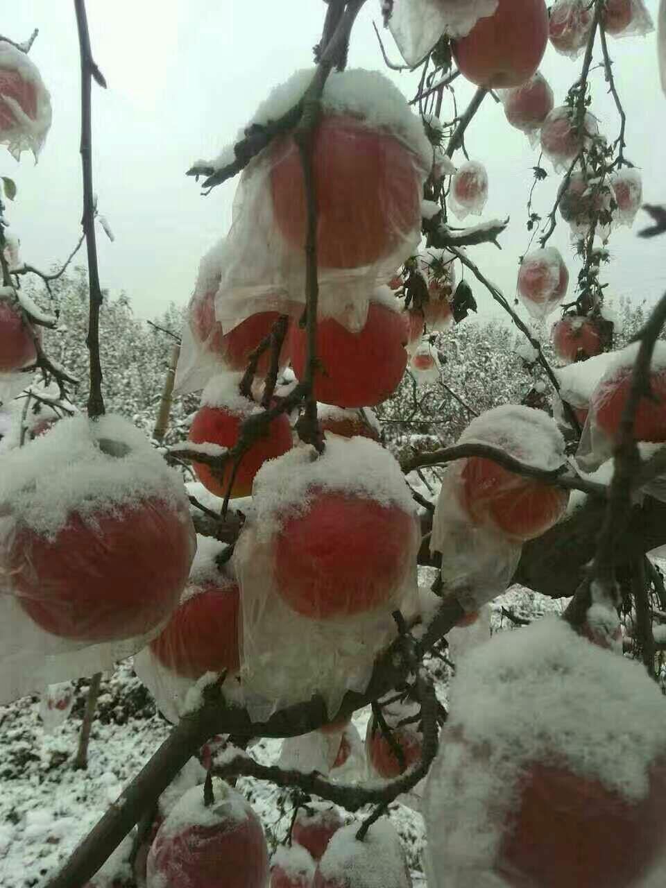 人生赢在选择👮承诺的主播照片