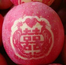 人生如戏经理酸甜苦辣主播照片