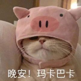 bye～主播照片
