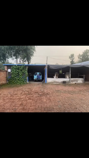 下大了/狂笑