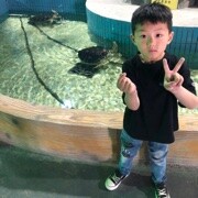 半条、宿命海报
