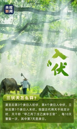 超持久“桑拿天”来了主播照片