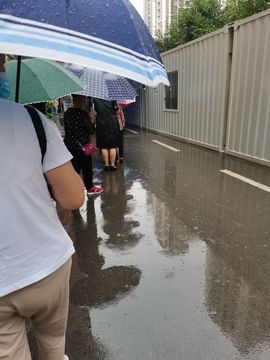 团团6595主播照片