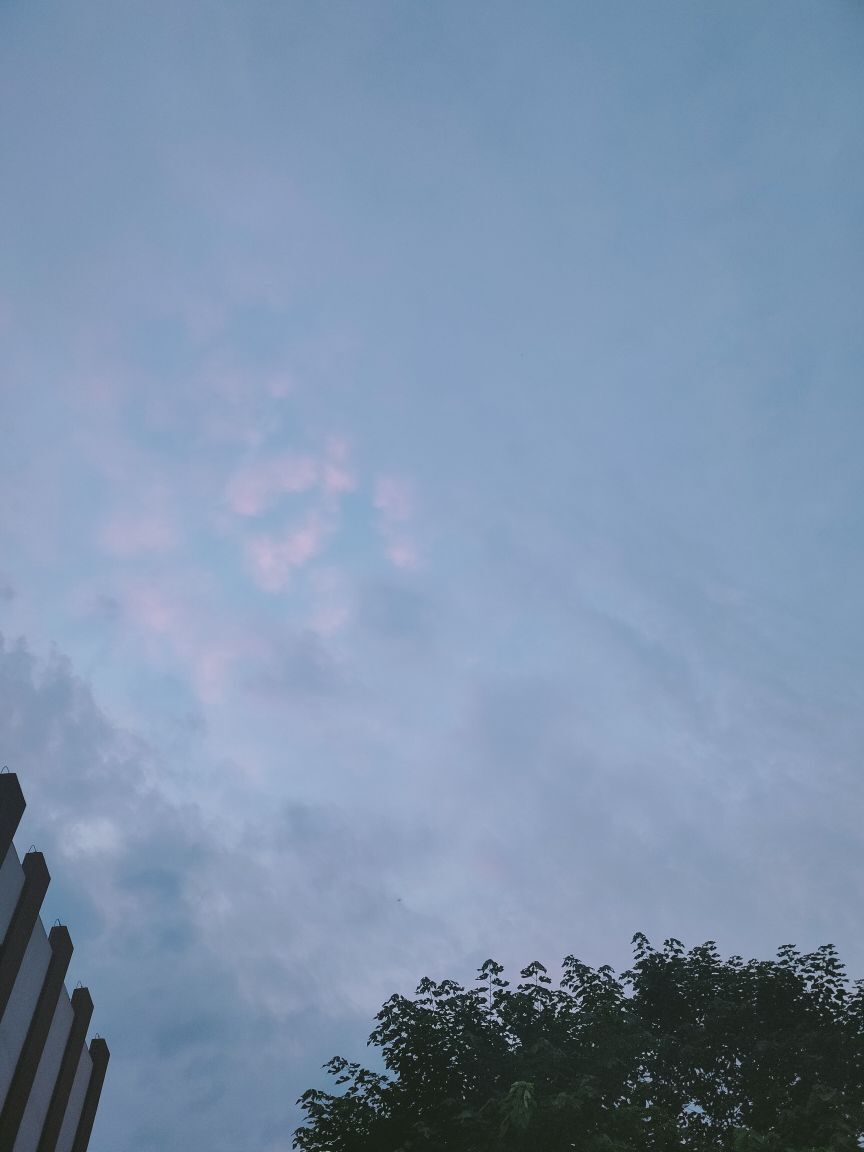 婷婷💕感恩有你陪伴的图片