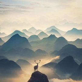 *菜园子*的图片