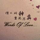 Wang少t