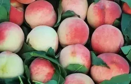 დ释怀დ主播照片