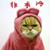 泡芙4p