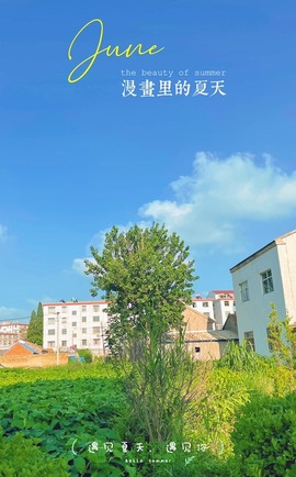 大万可🌀暂别主播照片