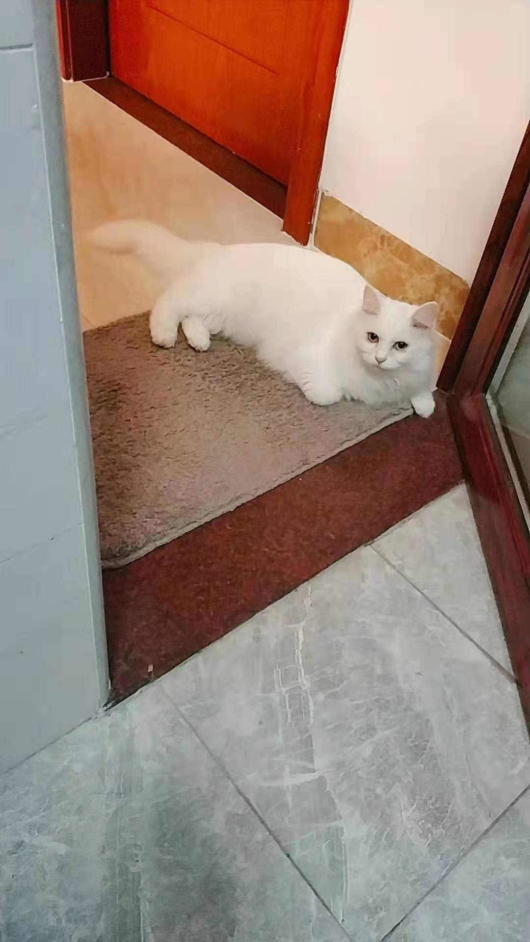 雨閣汽貿(mào)?李先生.的主播照片