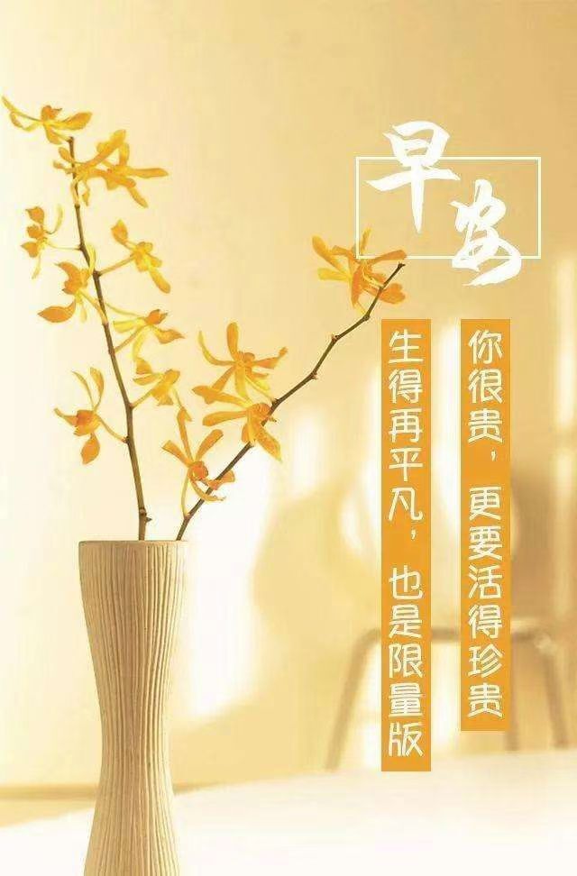 婷婷💕感恩有你陪伴的图片