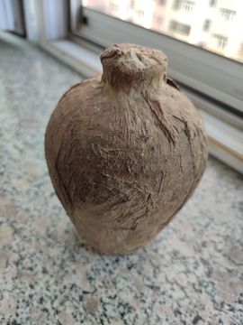 吃货🐽猪猪^O^主播照片