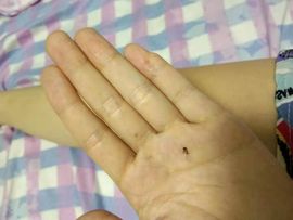 现实✔差距主播照片