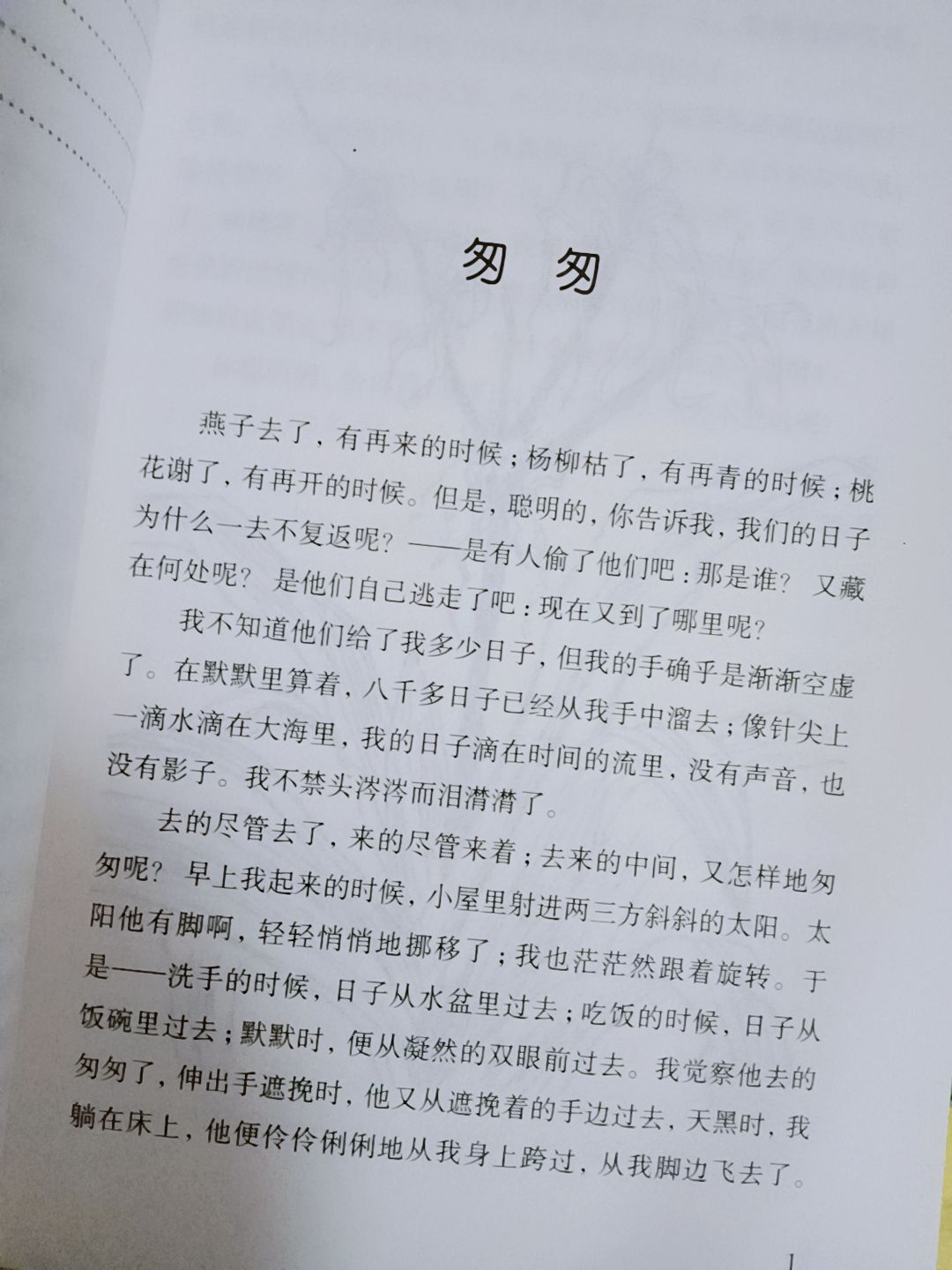 岚☆若冰♂的图片