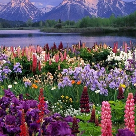 modB35618N主播照片