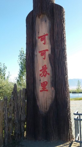 实力决定话语权主播照片