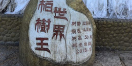 实力决定话语权主播照片