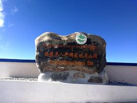实力决定话语权主播照片