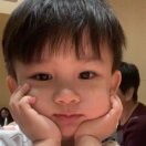 我的小鹿撞死了4