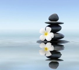 დ释怀დ主播照片