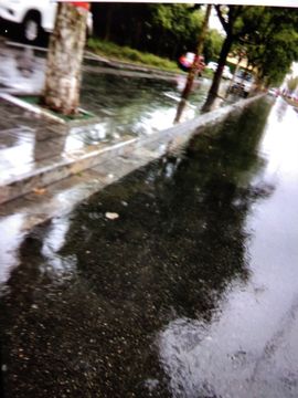 暮雪🍁升7冠主播照片