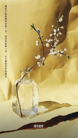 倾颜贺我杰哥荣升公爵的图片