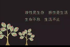 六月皮皮贪财还好色主播照片