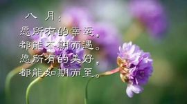 薇丫头～退主播照片