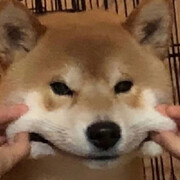 一见不钟情～