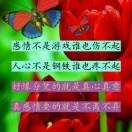 简~爱c