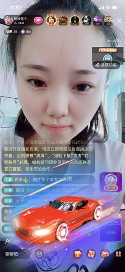 婉婉回来了主播照片