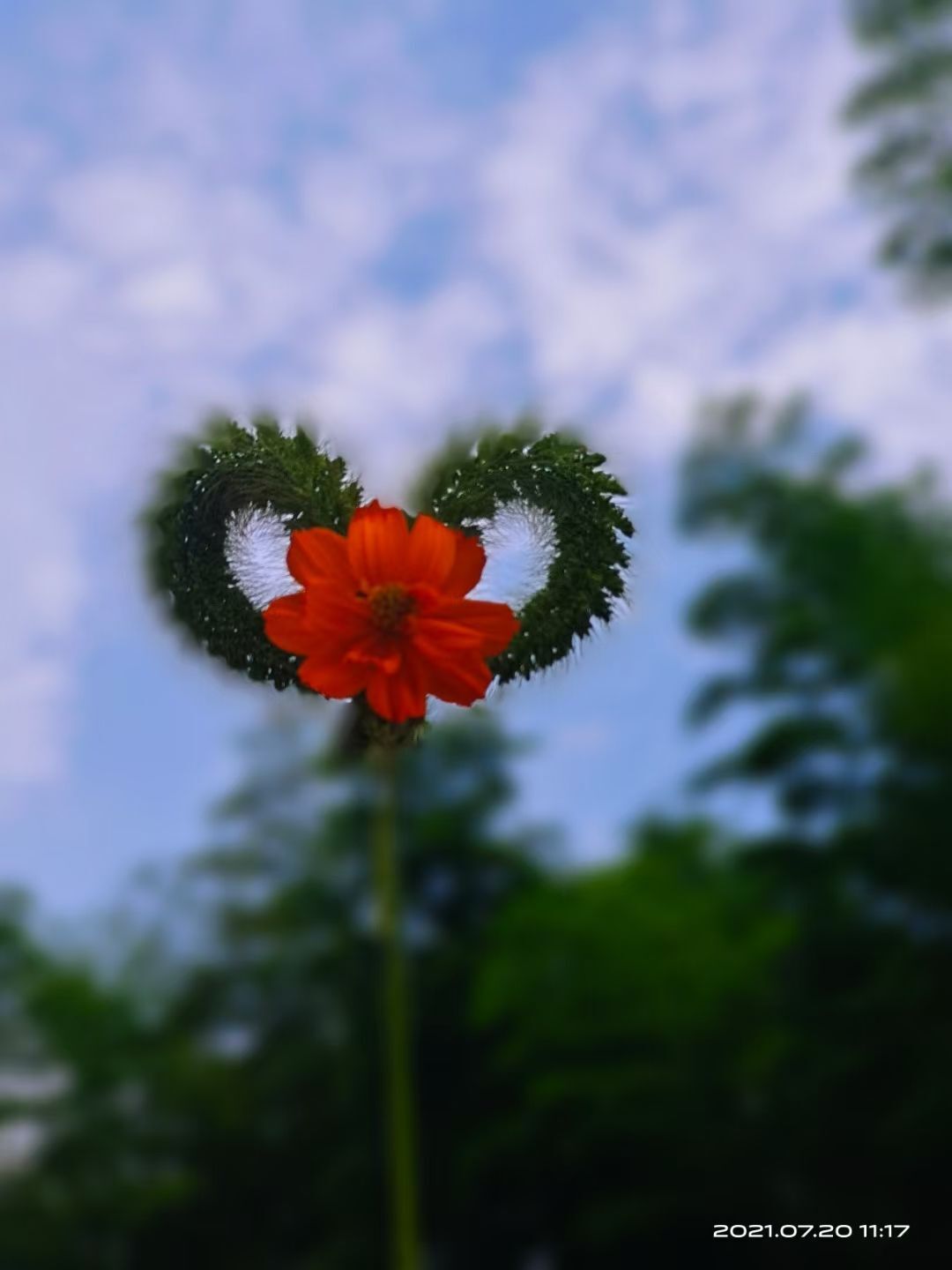 婷婷💕感恩有你陪伴的图片