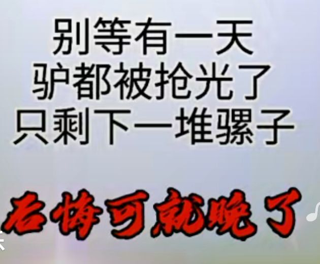 丑小鸭💞愿有一束光的图片