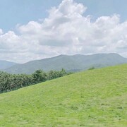 半城烟沙25