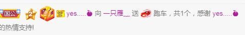 一只雁~的图片