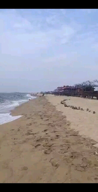态度坚定，致死不渝，永不言弃