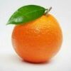 一颗哲学橙子的头像