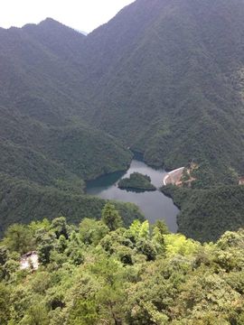 永坠星河主播照片